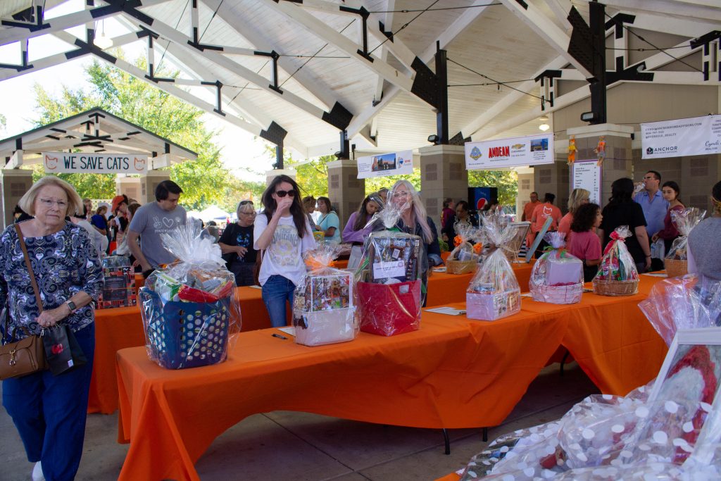 Annual fundraiser feral cat program of georgia